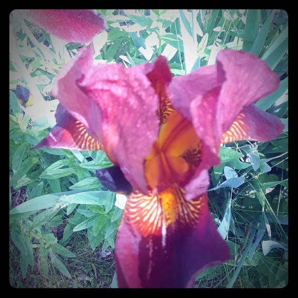 Moving Sale!! Accepting Offers! - Picture 4 of 6